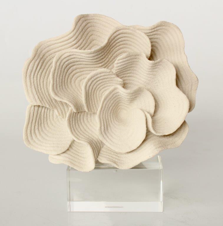 Coral On Crystal Base